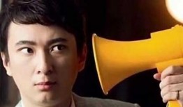 娱乐吃瓜王思聪贾青