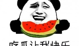 吃瓜群众网,网络舆论场中的“瓜田”风云