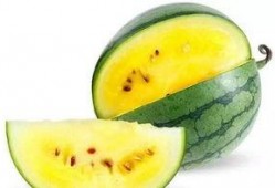 茶茶吃瓜 娱乐八卦,揭秘娱乐圈最新八卦风云