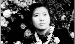 娱乐圈摆烂吃瓜郁可可,娱乐圈摆烂吃瓜，揭秘明星幕后生活