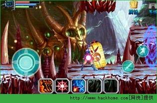 女忍关原,传奇忍者背后的传奇人生